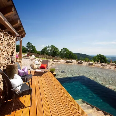 Hotel Wellness V Nebi 5*