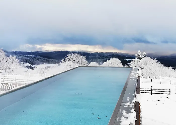 Hotel Wellness V Nebi Kořenov